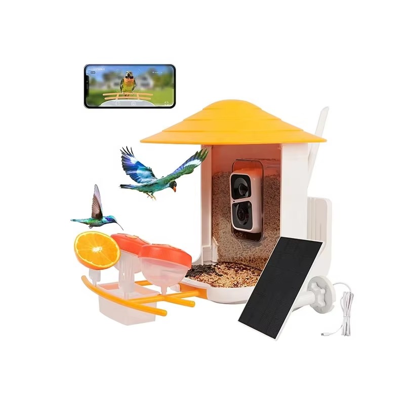Умная камера-кормушка для птиц – обзор и цена Smart Bird Feeder Camera