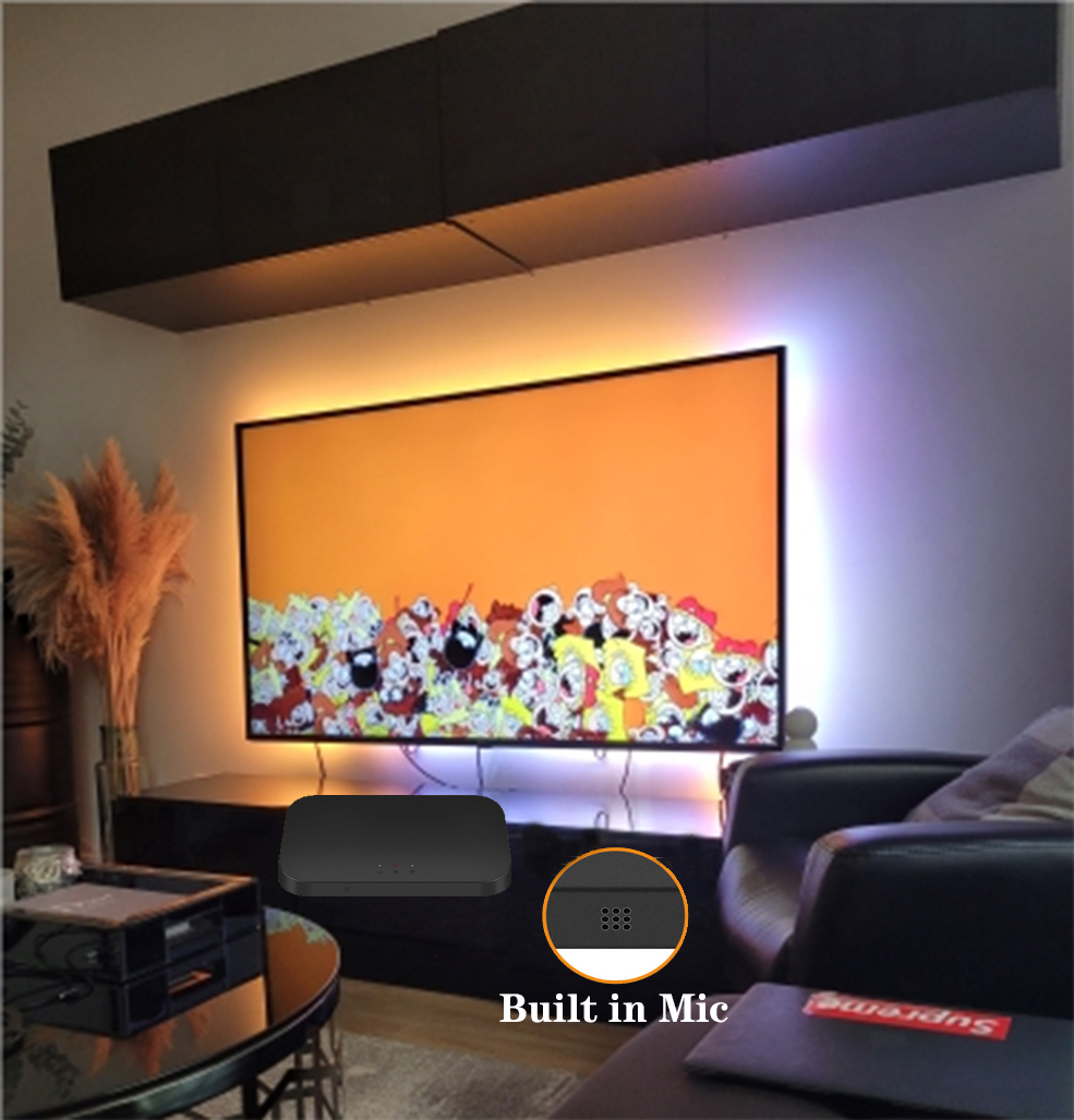 Smart Ambient TV Светодиодная  – обзор и цена Smart Garden Light Controller