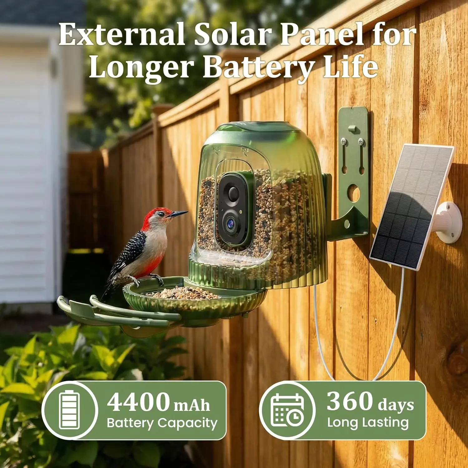 Умная кормушка для птиц с каме – обзор и цена Smart Bird Feeder Camera