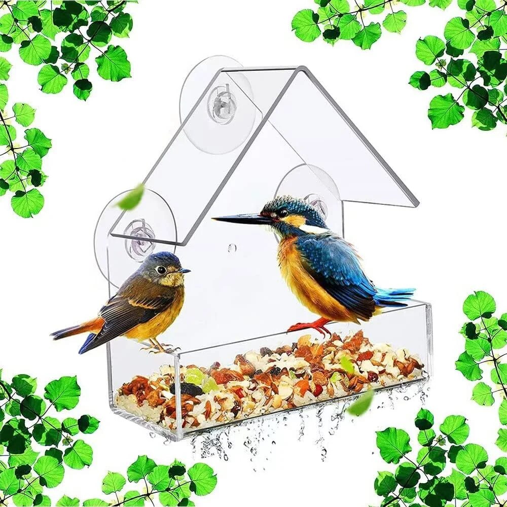 Акриловая кормушка для птиц с  – обзор и цена Smart Bird Feeder Camera